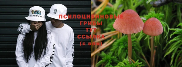 MDMA Premium VHQ Белокуриха