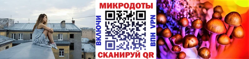 даркнет клад  Рудня  Псилоцибиновые грибы MAGIC MUSHROOMS 